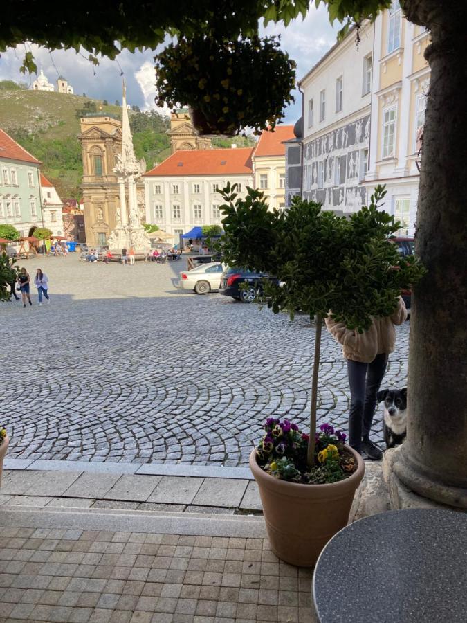 Guesthouse Mikulas Mikulov - Free Parking In The City Center Ngoại thất bức ảnh