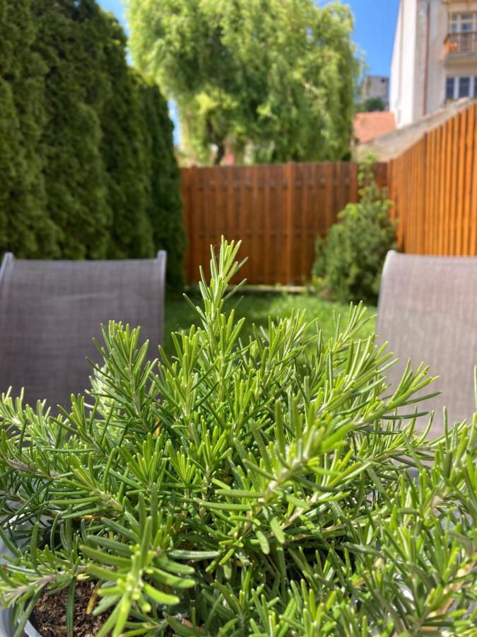 Guesthouse Mikulas Mikulov - Free Parking In The City Center Ngoại thất bức ảnh