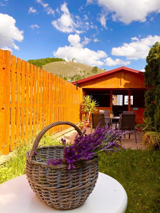 Guesthouse Mikulas Mikulov - Free Parking In The City Center Ngoại thất bức ảnh
