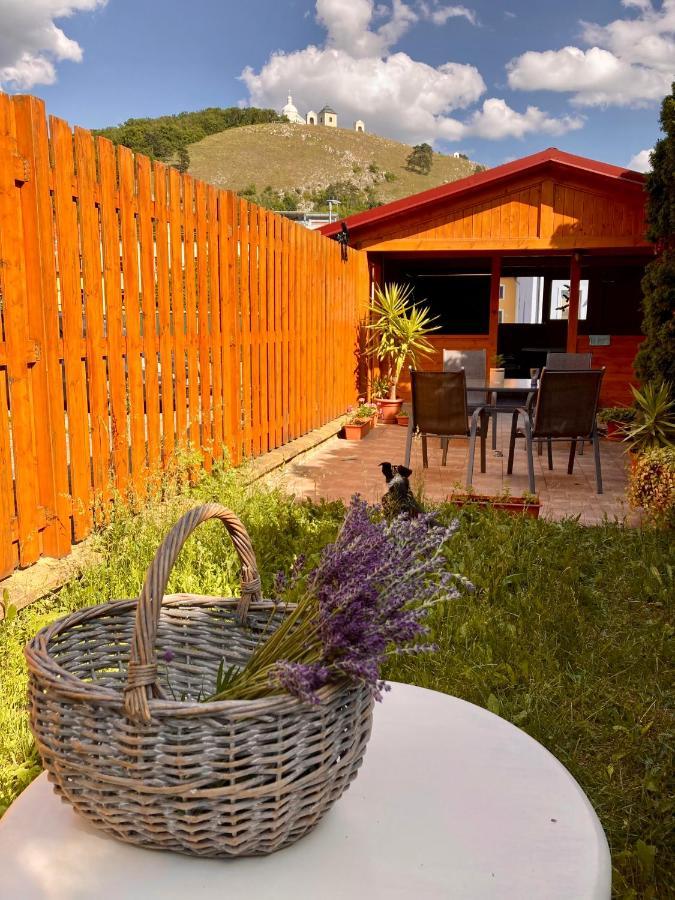Guesthouse Mikulas Mikulov - Free Parking In The City Center Ngoại thất bức ảnh
