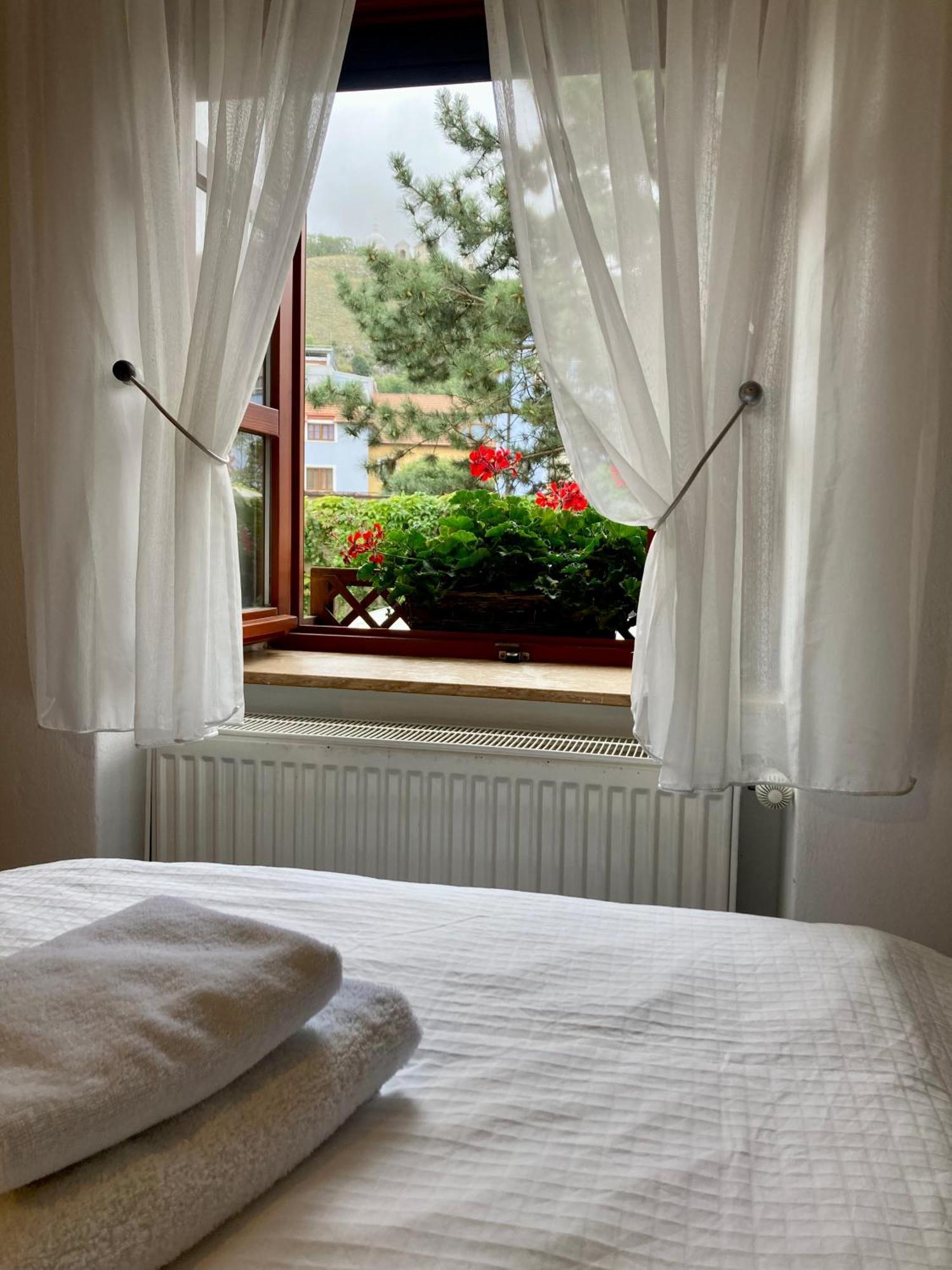 Guesthouse Mikulas Mikulov - Free Parking In The City Center Ngoại thất bức ảnh